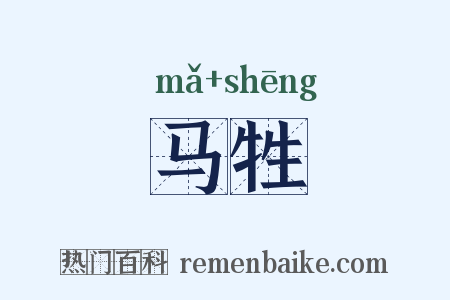 马牲是什么意思的图片